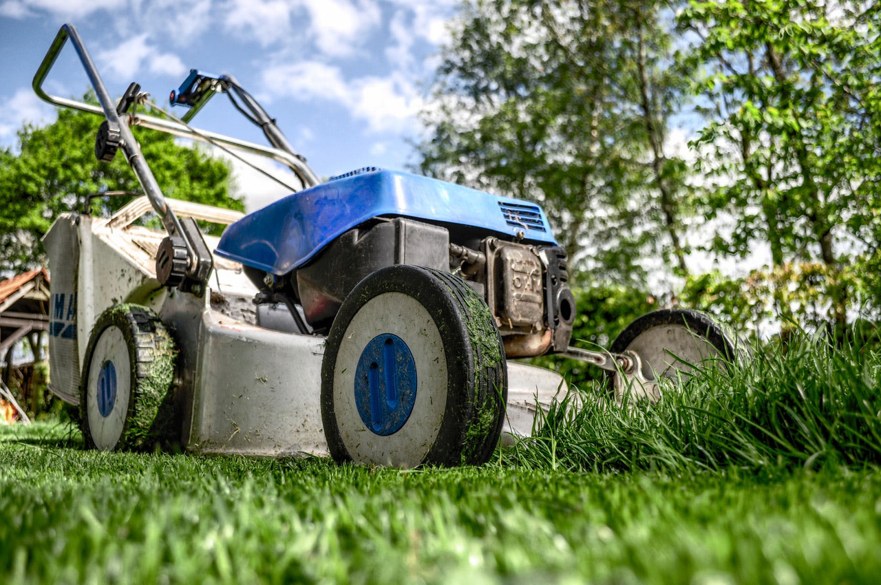 Freshly maintained lawn