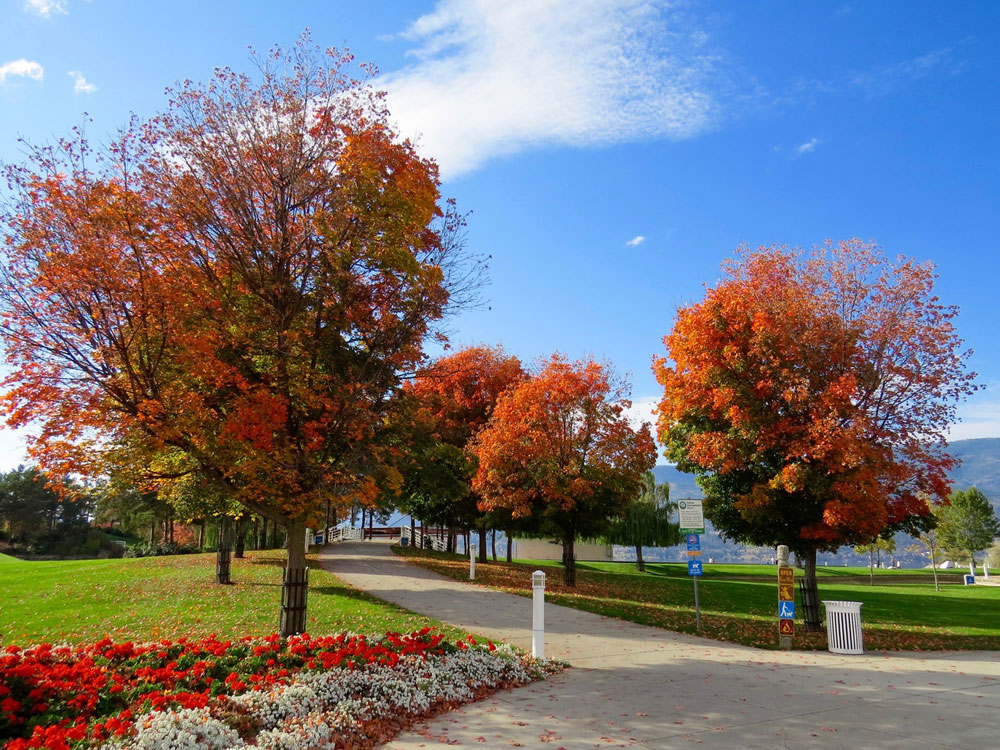 Seasonal landscape cleanup